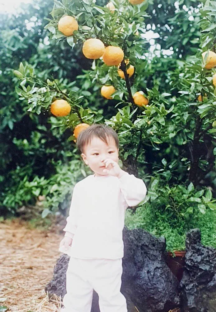 발표용 선택